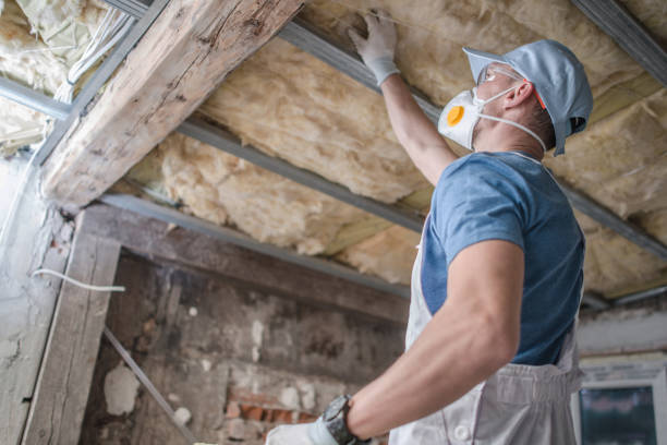 Best Insulation Installation Services in Zilwaukee, MI