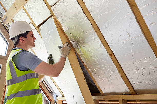 Best Insulation Maintenance and Repair in Zilwaukee, MI